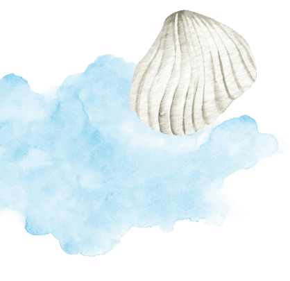 雲と貝殻