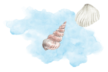 貝殻と雲